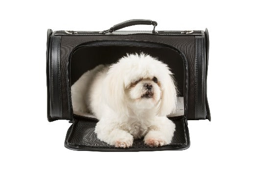Kelle Dog Carrier - New Colors.