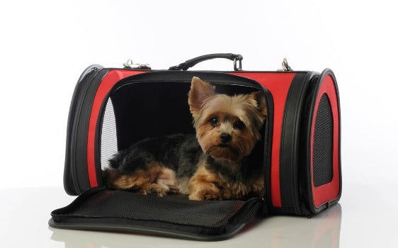 Kelle Dog Carrier - New Colors.