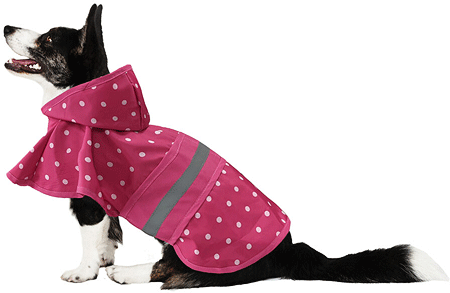 Lookingood Polka Dot Raincoat