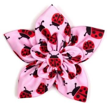 Ladybugs Dog Collar Flower.