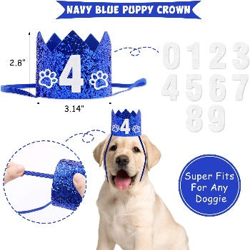 Let's Pawty Supplies Kit