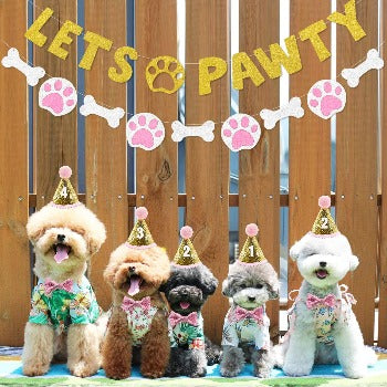 Let's Pawty Supplies Kit