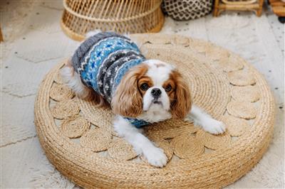 Chilly Dog Light Blue Fairisle Dog Sweater-Paws & Purrs Barkery & Boutique
