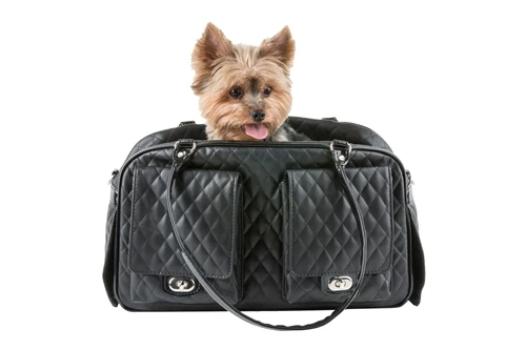 Marlee Dog Carrier (10 Colors).