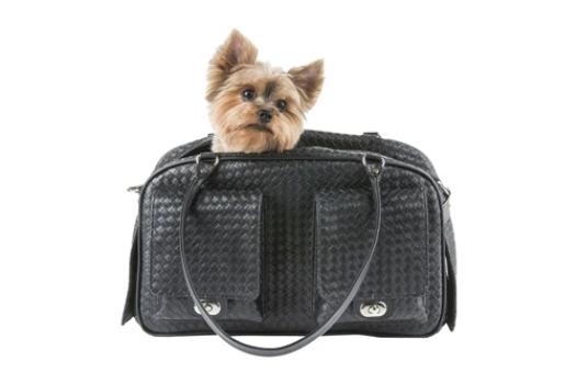 Marlee Dog Carrier (10 Colors).