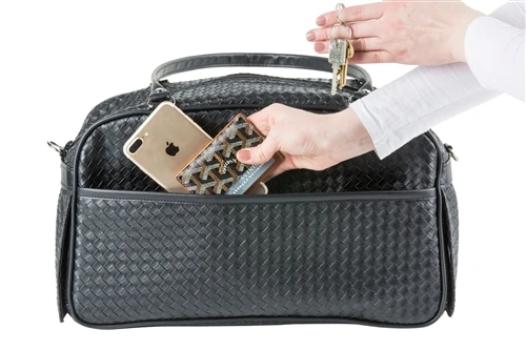 Marlee Dog Carrier (10 Colors).