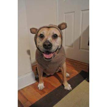 Monkey Hoodie Sweater.