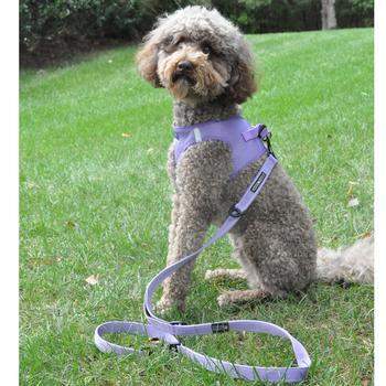 6 Way Multi-Function Dog Leash - Red.