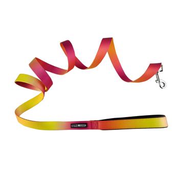 American River Ombre Leash.