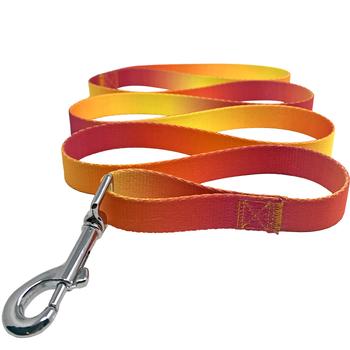 American River Ombre Leash.
