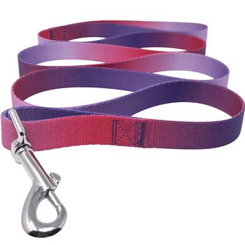American River Ombre Leash.