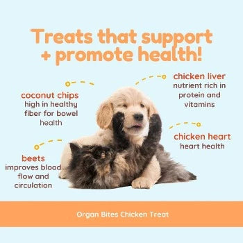 CocoTherapy Organ Bites! Chicken Organs + Beets + Coconut Dog & Cat Treats