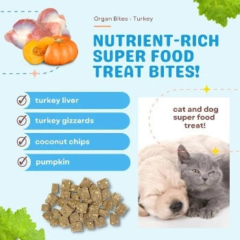 CocoTherapy Organ Bites! Turkey Organs + Pumpkin + Coconut Dog & Cat Treats