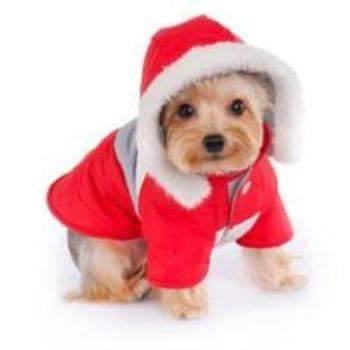 Alexis Dog Parka.