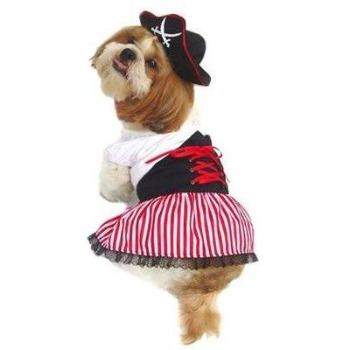 Lady Pirate Costume.
