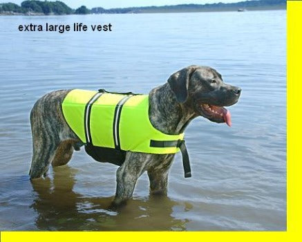 Yellow Dog Life Jacket.