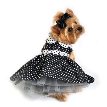 Black & White polka dot dog harness dress