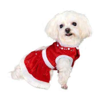 Noella Santa Dress.