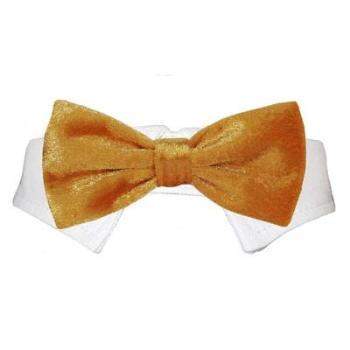 A Valentino Shirt Collar & Bow Tie by Pooch Outfitters features a mustard yellow velvet bow tie with a shiny texture, attached to a white collar and elegantly presented against a plain white background.