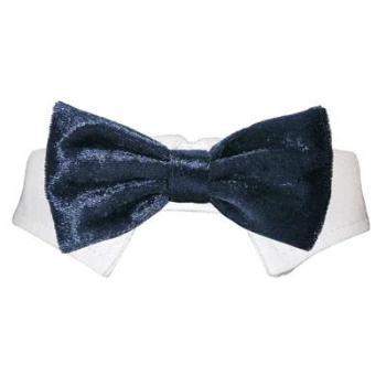 The Valentino Shirt Collar & Bow Tie by Pooch Outfitters features a navy blue velvet bow tie on a white collar. Displayed against a plain white background, its neatly tied and perfectly centered, ideal for adding elegant style to any poochs formal outfit.