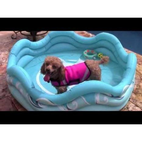 Mariner Inflatable Dog Pool.