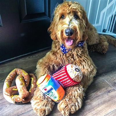 Power Plush Dog Toy - Puppy Pretzel.