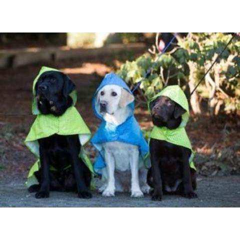 Packable Dog Rain Poncho.