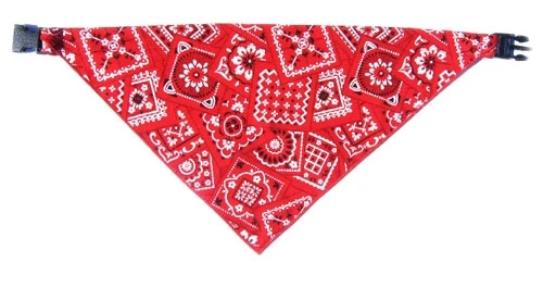 Red Bandana.