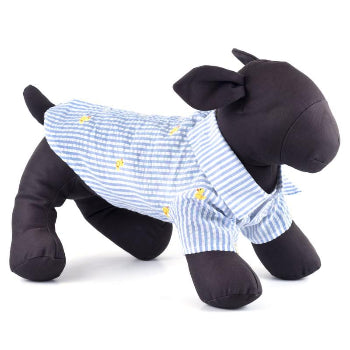Light Blue Stripe Rubber Duck Dog Shirt.