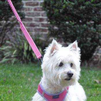 Soft Pull Traffic Dog Leash - Candy Pink.