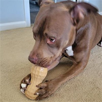 Poochie Butter Peanut Butter Dog Chew Toy Filler