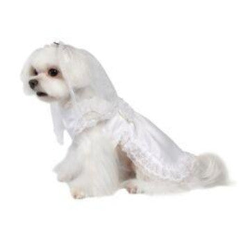 Vera Wedding Dress with Veil.
