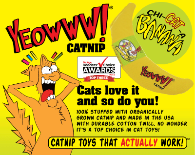 Top cat toys outlet 2018