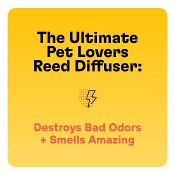 Zoop Pet Odor Eliminating Non-Toxic Scented Reed Diffuser