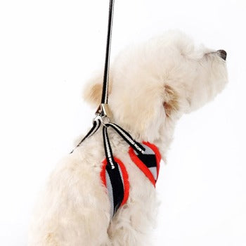 EasyGO Polo Harness.