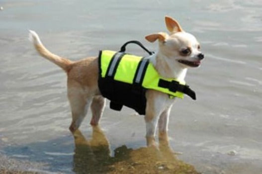Yellow Dog Life Jacket.
