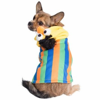 Bert Hoodie.