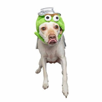 Oscar the Grouch Costume.