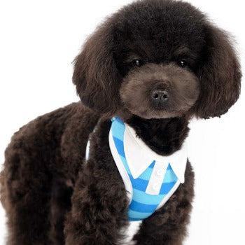 EasyGO Polo Harness.