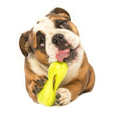 West Paw Qwizl Puzzle & Treat Toy-Paws & Purrs Barkery & Boutique