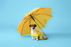 Why Your Dog Needs a RainCoat