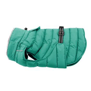 Teal dog coat with a black strap on a white background