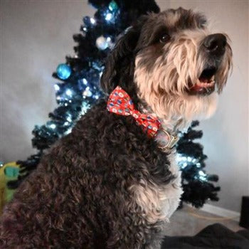 Huxley & Kent Bedecked Dog Bow Tie