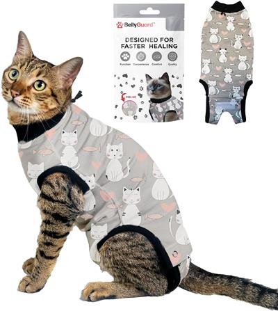 BellyGuard Post Surgery Recovery Suit for Cats
