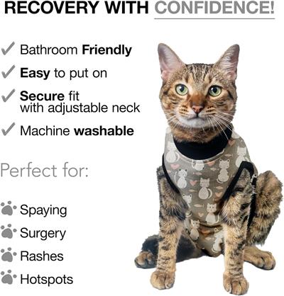 BellyGuard Post Surgery Recovery Suit for Cats