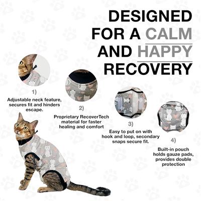 BellyGuard Post Surgery Recovery Suit for Cats