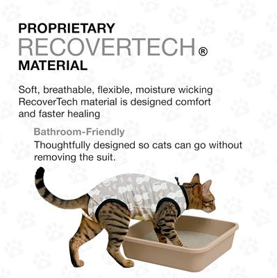 BellyGuard Post Surgery Recovery Suit for Cats