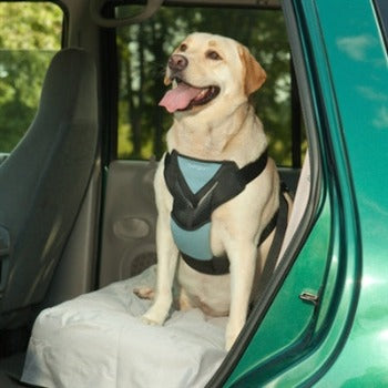 Bergan Dog Auto Harness