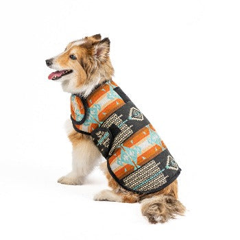 Dog wearing Chilly Dog Black Canyon Blanket Coat