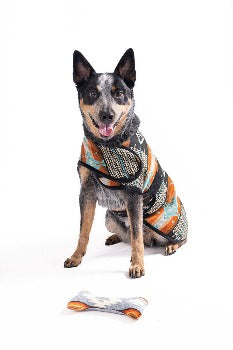 Dog wearing Chilly Dog Black Canyon Blanket Coat
